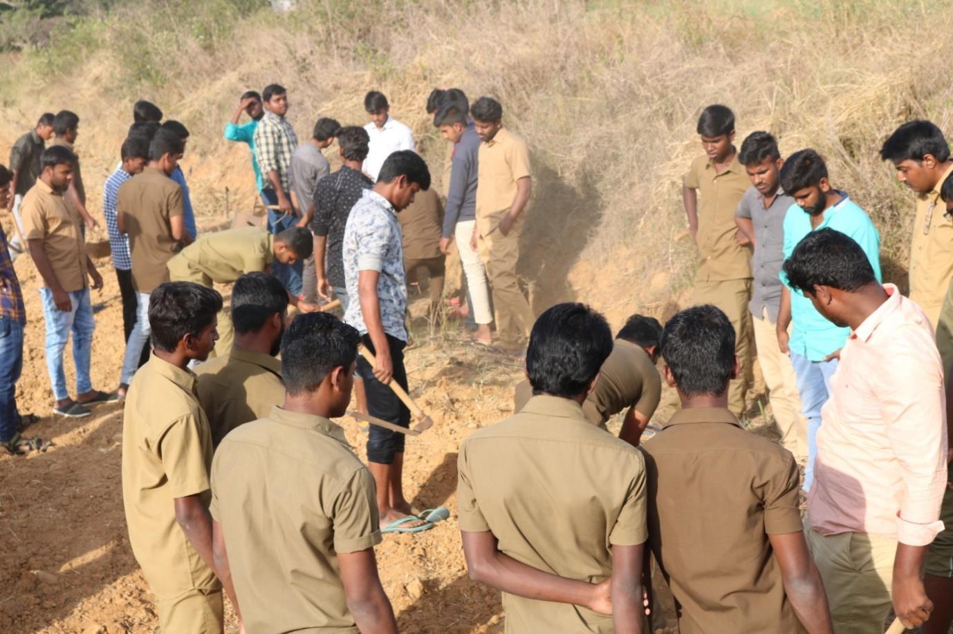 description of the image