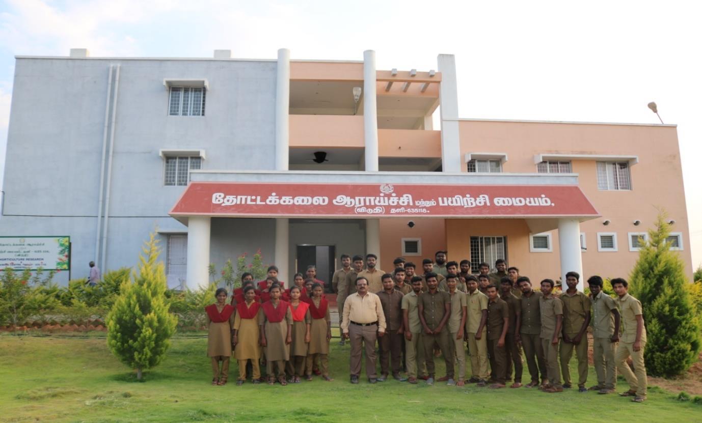 description of the image