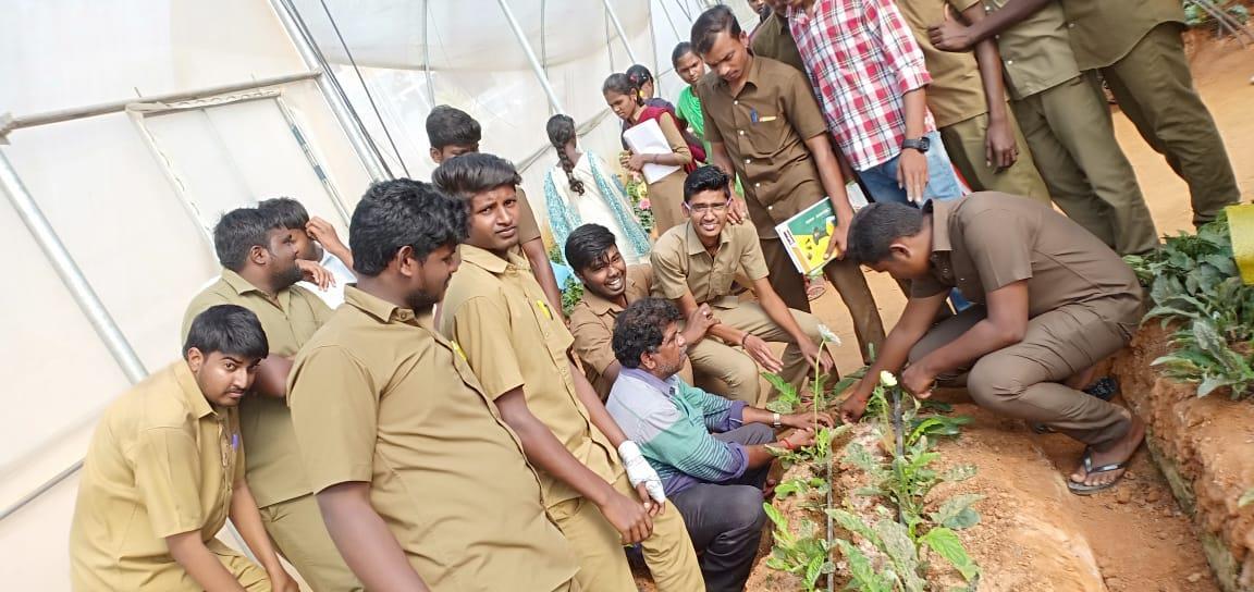 description of the image