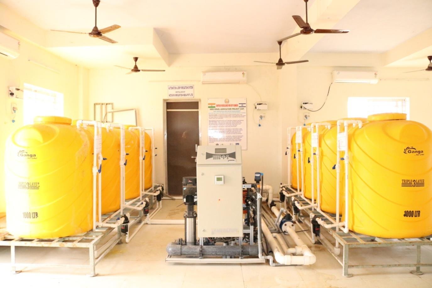 description of the image