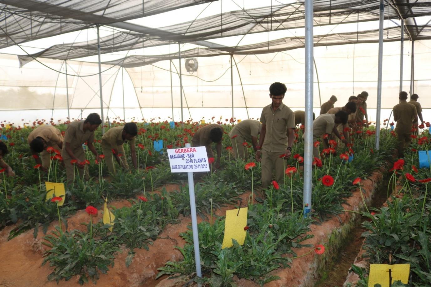 description of the image