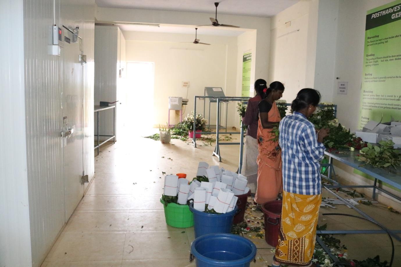 description of the image