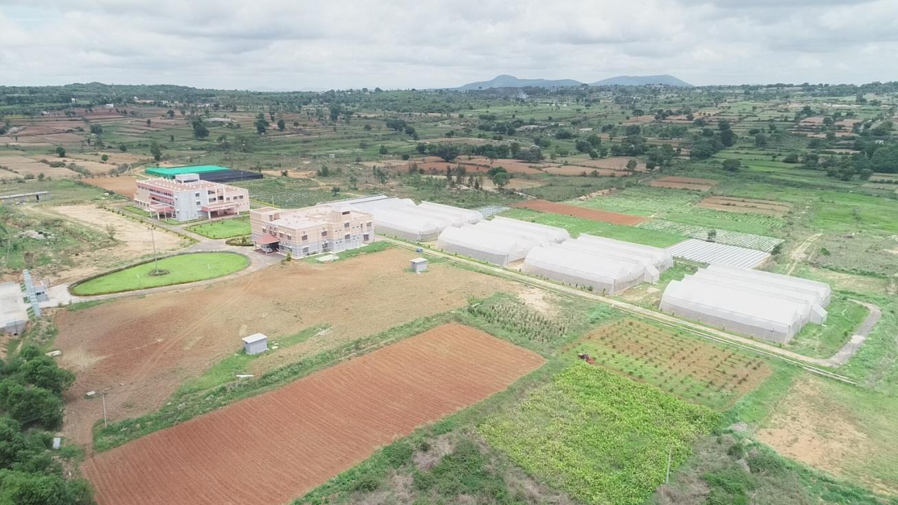 description of the image