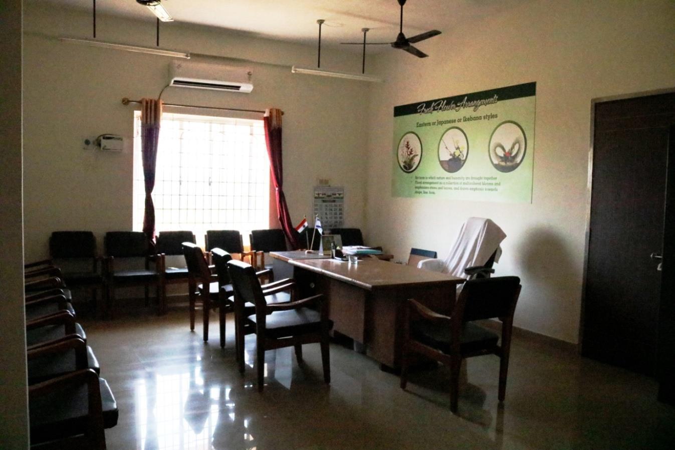 description of the image