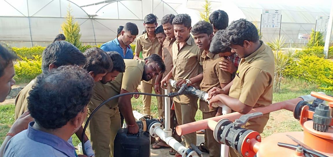 description of the image