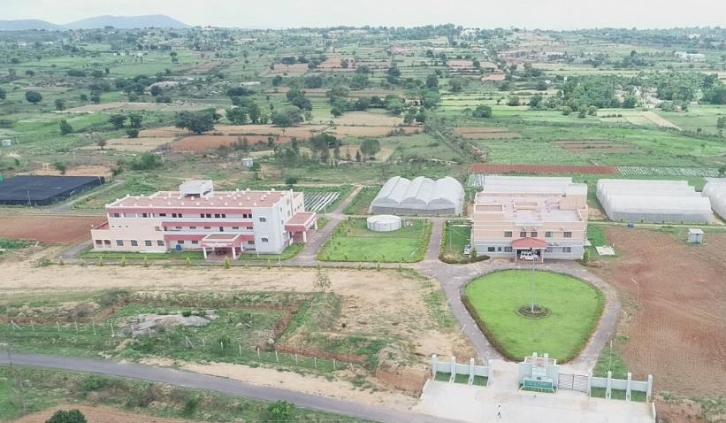 description of the image